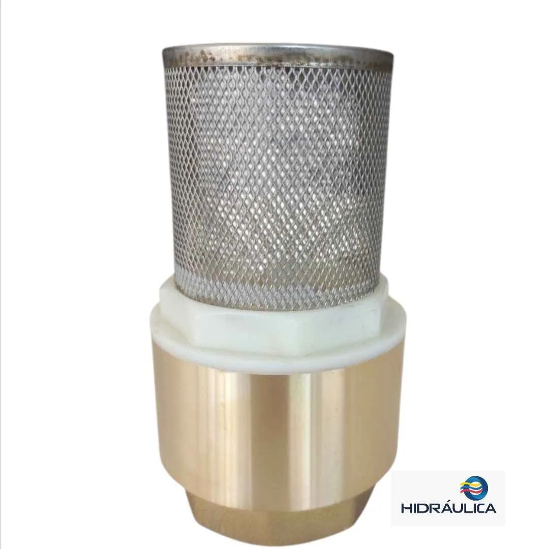 VALVULA CHECK BRONCE + CANASTILLA INOXIDABLE 2"