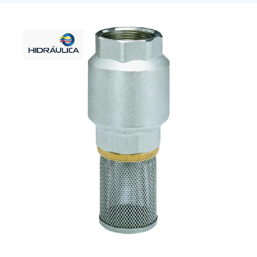 VALVULA CHECK ACERO INOXIDABLE T-316 + CANASTILLA INOXIDABLE ROSCA PN63 2"
