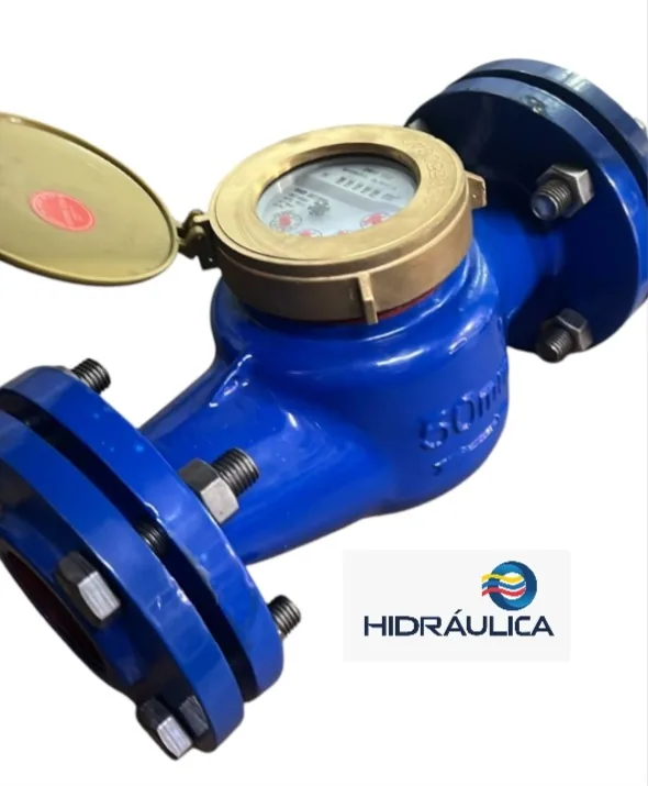 MEDIDOR CH MULT HF 1 1/2" BRIDADO BM *