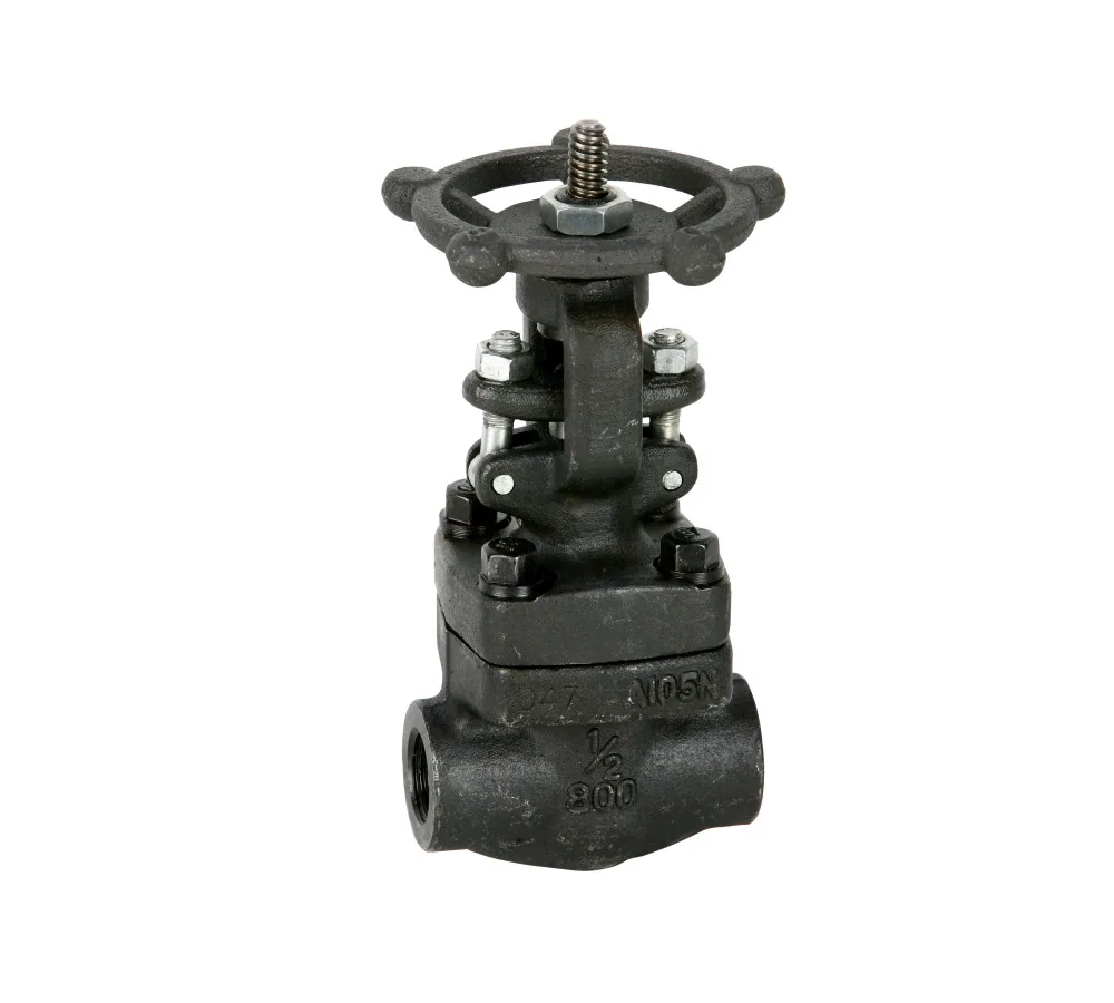 VALVULA C0MPUERTA A/F ROSC 800 LBS A 105 X 1" GEN 2232N *
