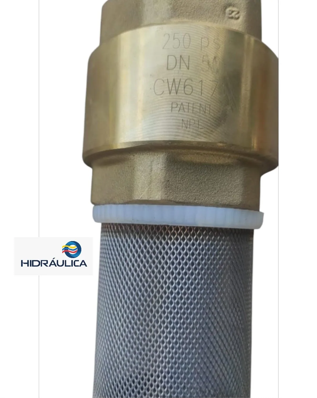 VALVULA BRONCE CHECK 175A + CANASTILLA 2" GE