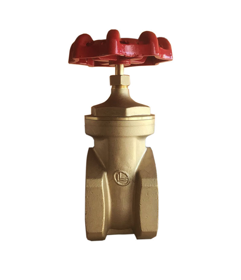 VALVULA COMPUERTA DOUBLE LL 2 1/2"