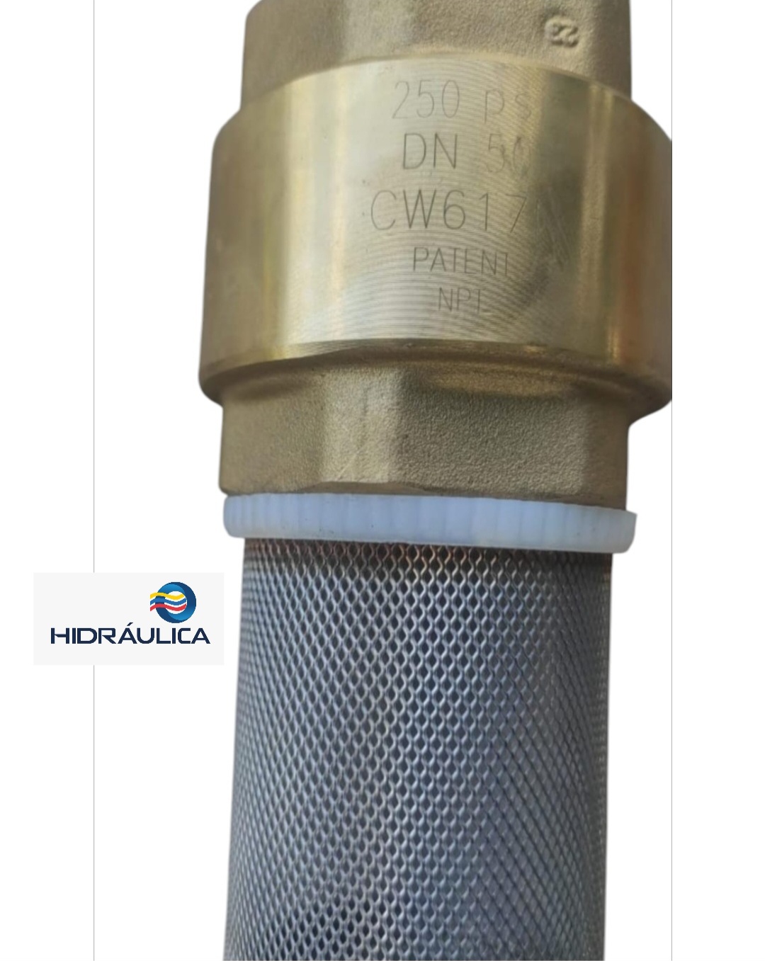 VALVULA BRONCE CHECK 175A CANASTILLA 2" GE